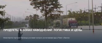 Продукты в зонах наводнений: как Таиланд решает проблему дефицита