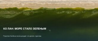 Зеленая вода на Ко Лан: можно ли купаться после дождей