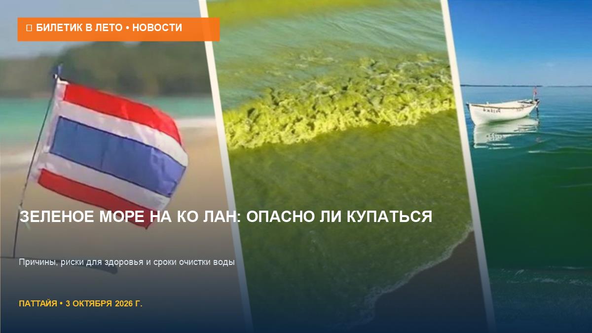 Зеленое море на Ко Лан: можно ли купаться и когда пройдет