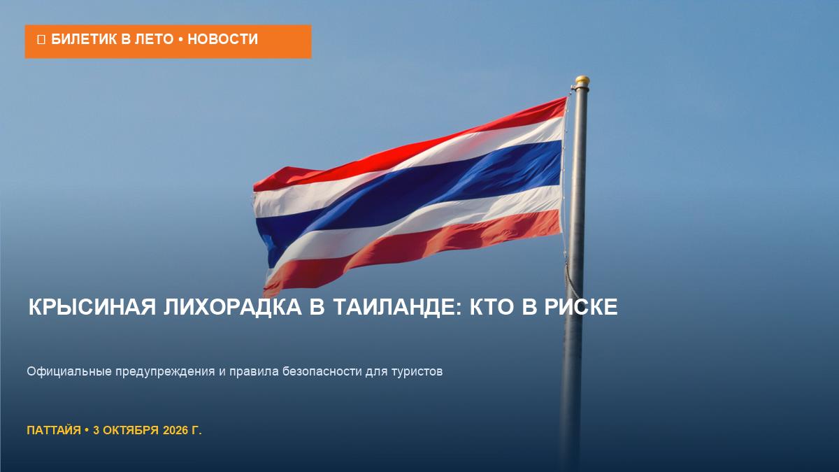 Крысиная лихорадка в Таиланде: кому реально грозит опасность