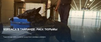 Таможня Таиланда: за что дают 10 лет тюрьмы за колбасу