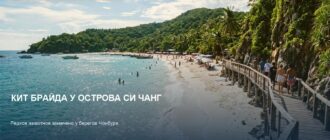 Кит Брайда у Си Чанга: редкая встреча в Сиамском заливе