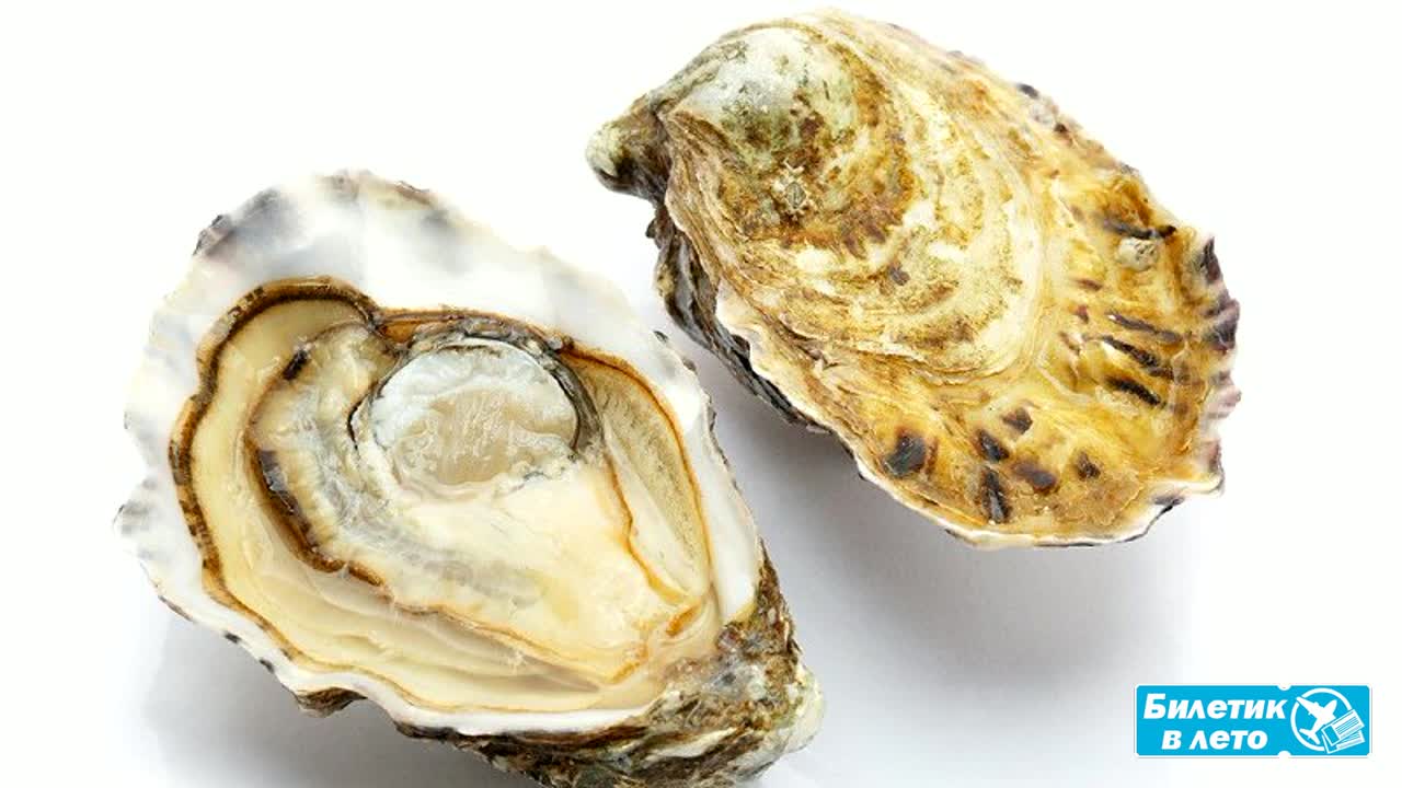 Острый салат из сырых устриц ยำหอยนางรม (Ям Хой Нанг Ром): взрывной вкус ночных рынков Паттайи