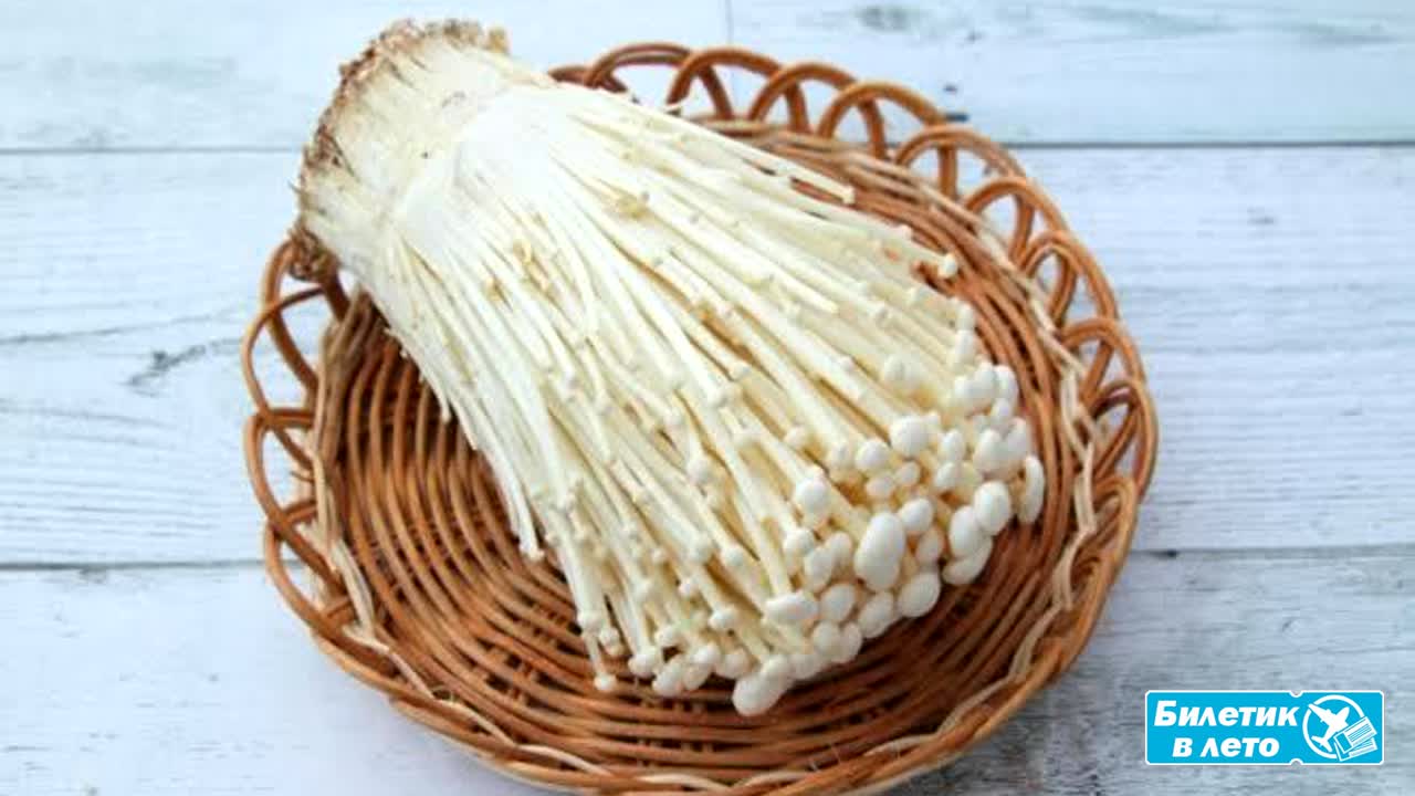 Золотые иглы: как в Таиланде готовят грибы эноки เห็ดเข็มทอง в беконе, супах и воках